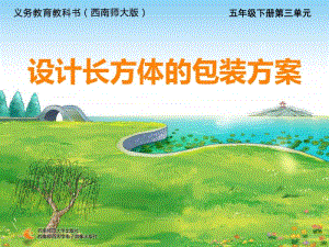 西师大版五年级下册数学设计长方体的包装方案ppt课件.ppt