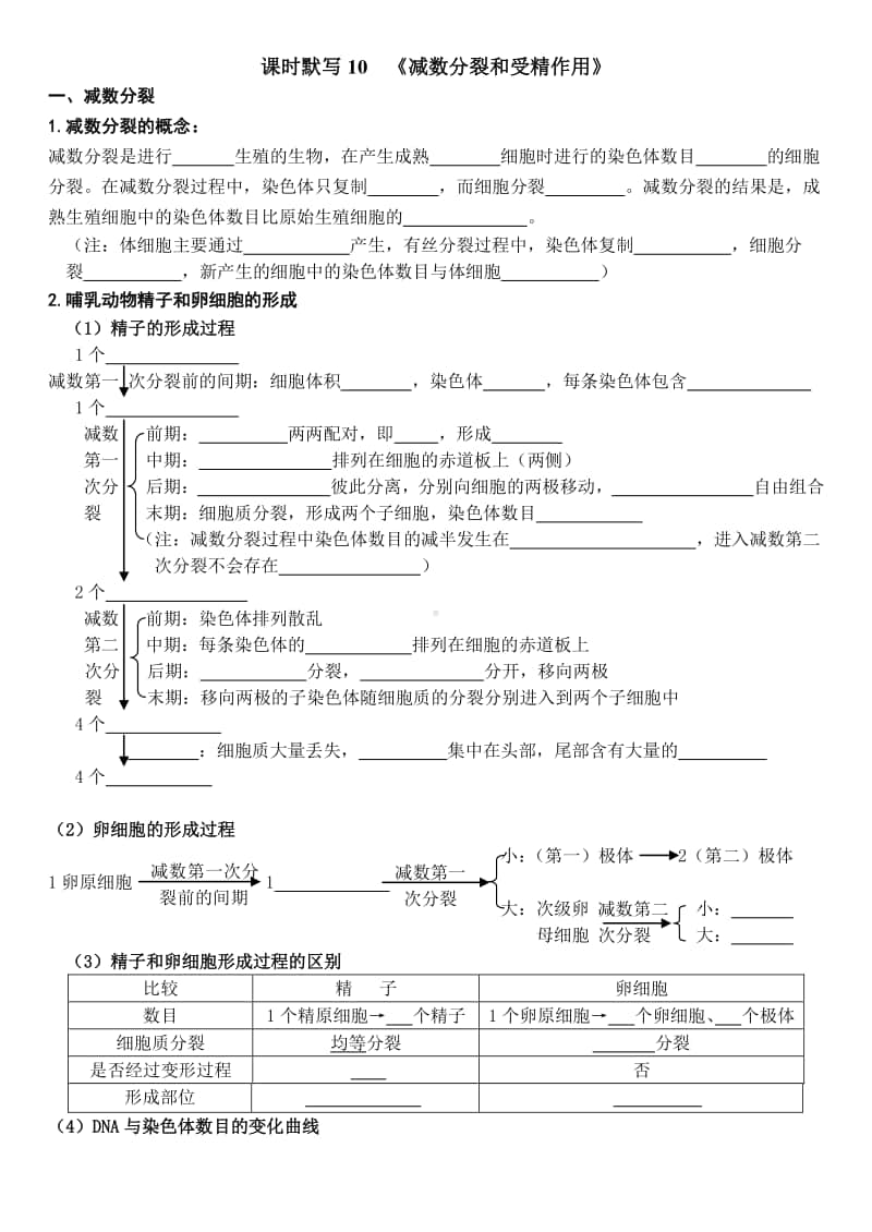 学考复习默写10-减数分裂和受精作用.doc_第1页