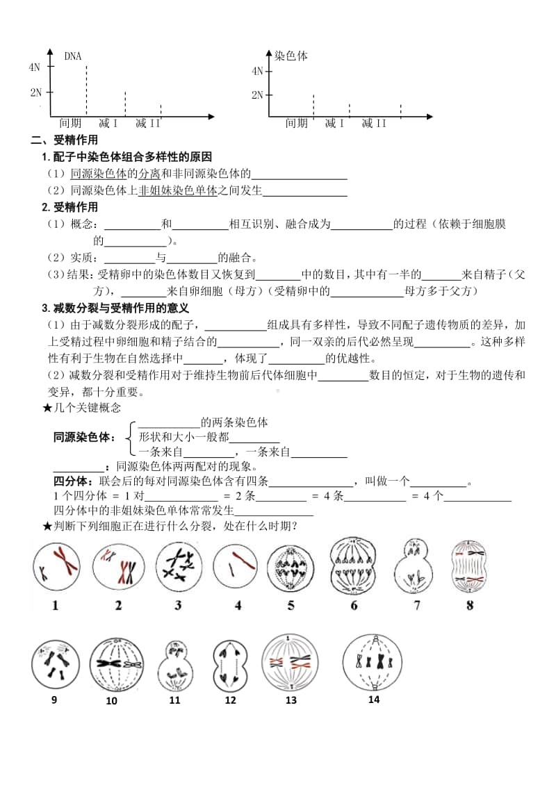 学考复习默写10-减数分裂和受精作用.doc_第2页