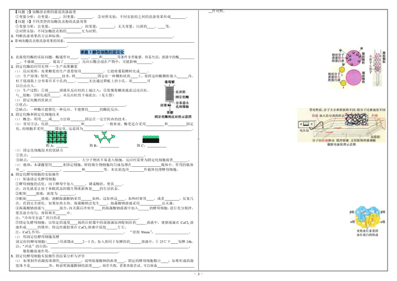 选修1《生物技术实践》知识清单.doc_第3页