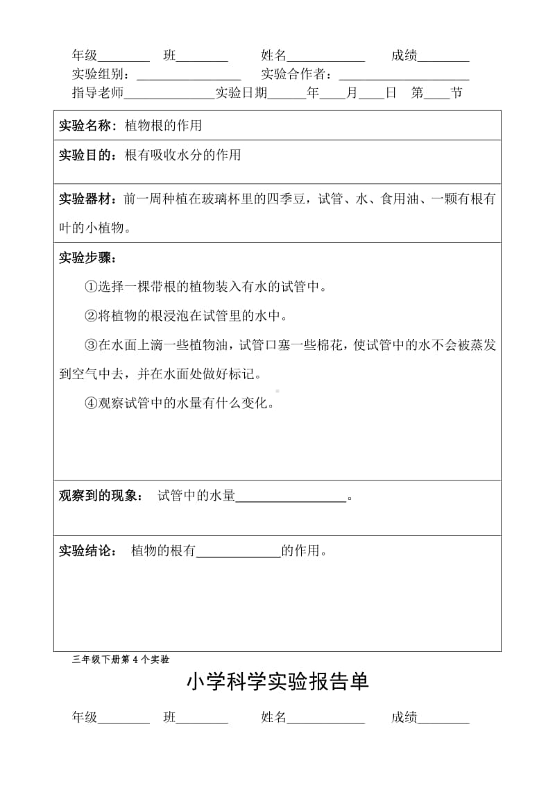 3年级下册实验报告单.doc_第3页