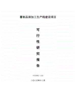 薯制品深加工生产建设项目可行性研究报告.doc