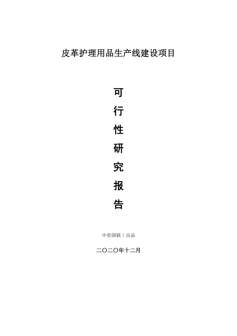 皮革护理用品生产建设项目可行性研究报告.doc_第1页