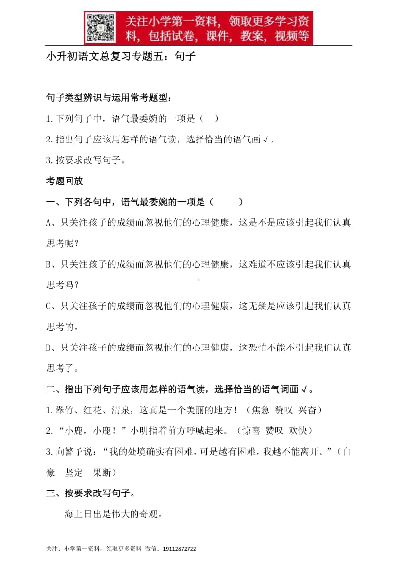 人教统编版小升初语文总复习专题五·句子（类型辨识与运用）同步练习（含答案）.doc_第1页