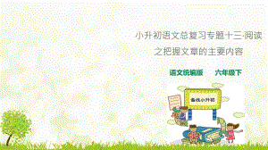 人教统编版小升初语文总复习专题十三·阅读之把握文章主要内容课件.ppt