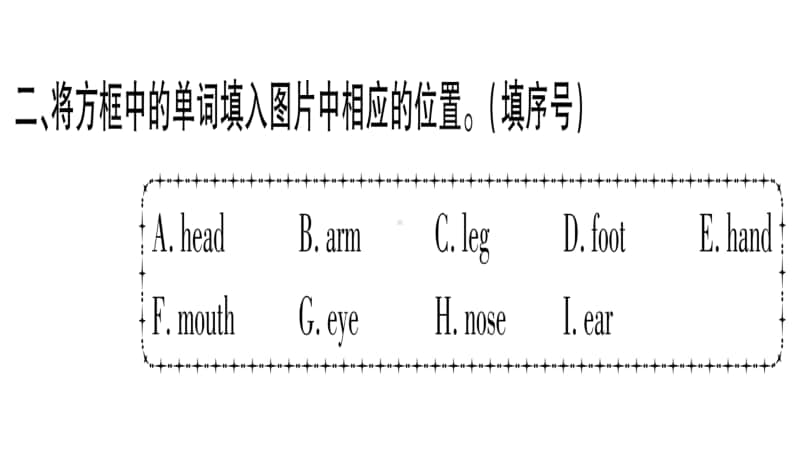 外研版（三起）三年级上册英语专项训练1习题ppt课件.ppt_第3页