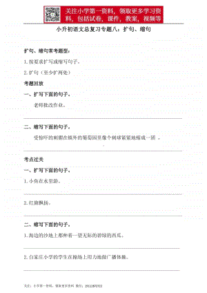 人教统编版小升初语文总复习专题八·扩句、缩句同步练习（含答案）.doc