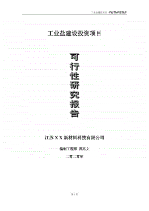 工业盐建设投资项目可行性研究报告-实施方案-立项备案-申请.doc