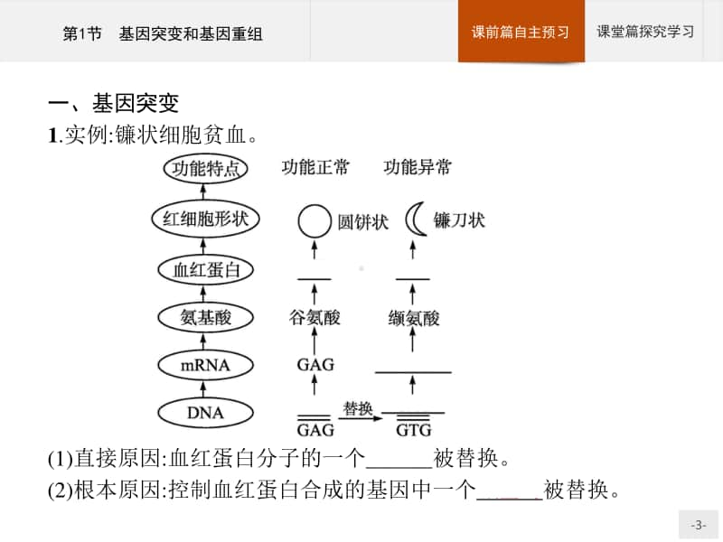 高中生物人教（2019）新教材必修2课件：第5章第1节　基因突变和基因重组.pptx_第3页