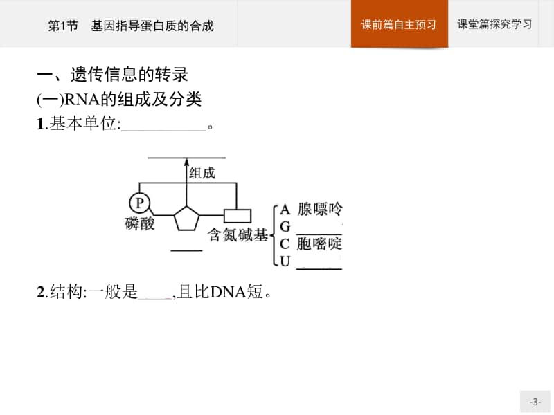 高中生物人教（2019）新教材必修2课件：第4章第1节　基因指导蛋白质的合成.pptx_第3页