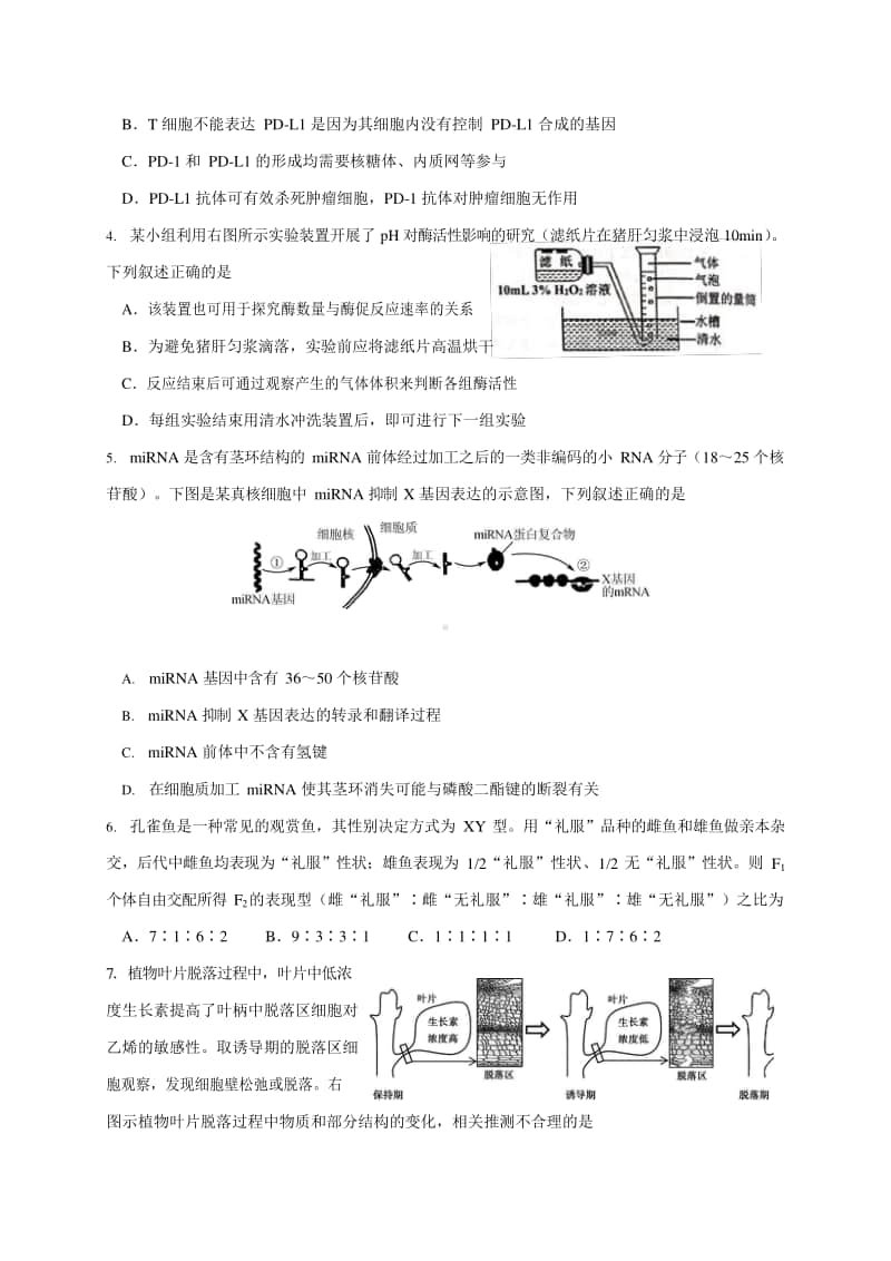 江苏省启东市2021届高三上学期期中考试生物试卷及答案.docx_第2页