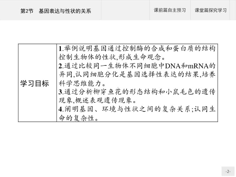 高中生物人教（2019）新教材必修2课件：第4章第2节　基因表达与性状的关系.pptx_第2页