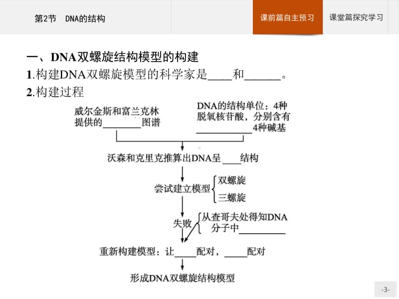 高中生物人教（2019）新教材必修2课件：第3章第2节　DNA的结构.pptx_第3页