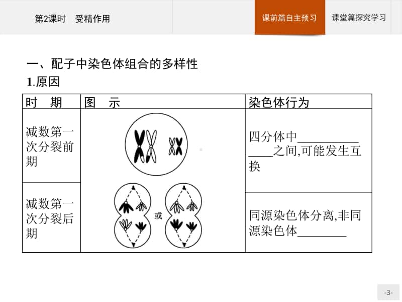 高中生物人教（2019）新教材必修2课件：第2章第1节第2课时　受精作用.pptx_第3页