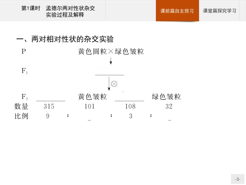 高中生物人教（2019）新教材必修2课件：第1章第2节第1课时　孟德尔两对性状杂交实验过程及解释.pptx_第3页