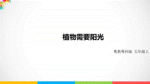 2020新粤教版五年级上册科学1.6《植物需要阳光》ppt课件（含教案+练习）.pptx