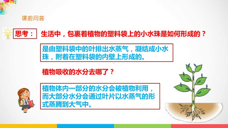 2020新粤教版五年级上册科学1.6《植物需要阳光》ppt课件（含教案+练习）.pptx_第2页