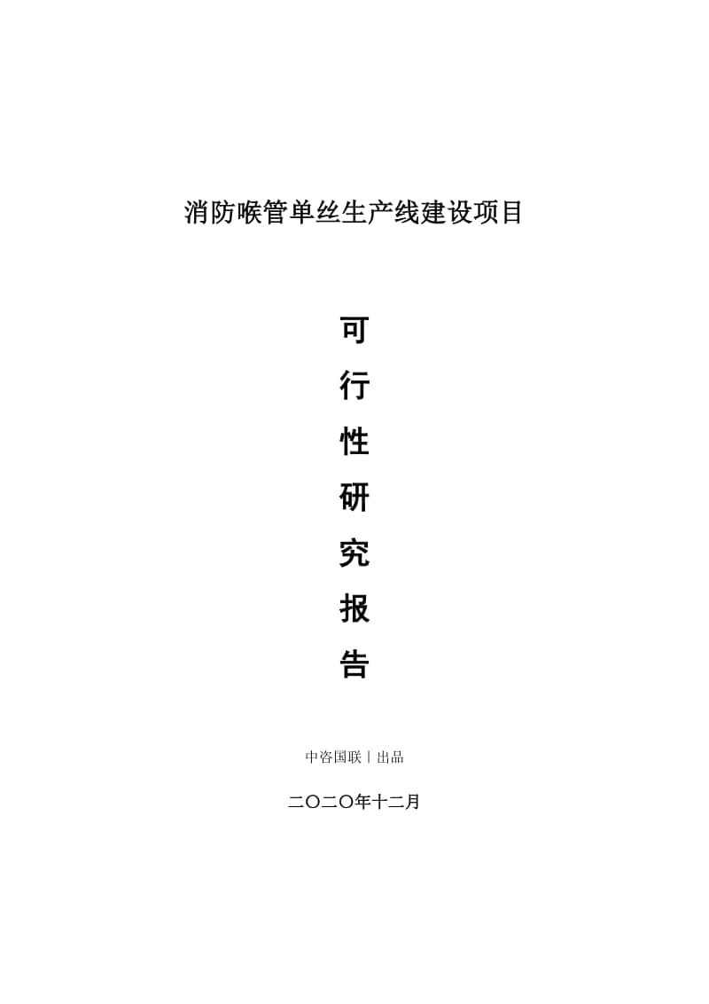 消防喉管单丝生产建设项目可行性研究报告.doc_第1页