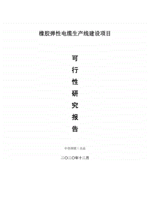 橡胶弹性电缆生产建设项目可行性研究报告.doc