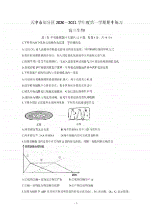 天津市部分区2021届高三上学期期中考试生物试题 Word版含答案.doc