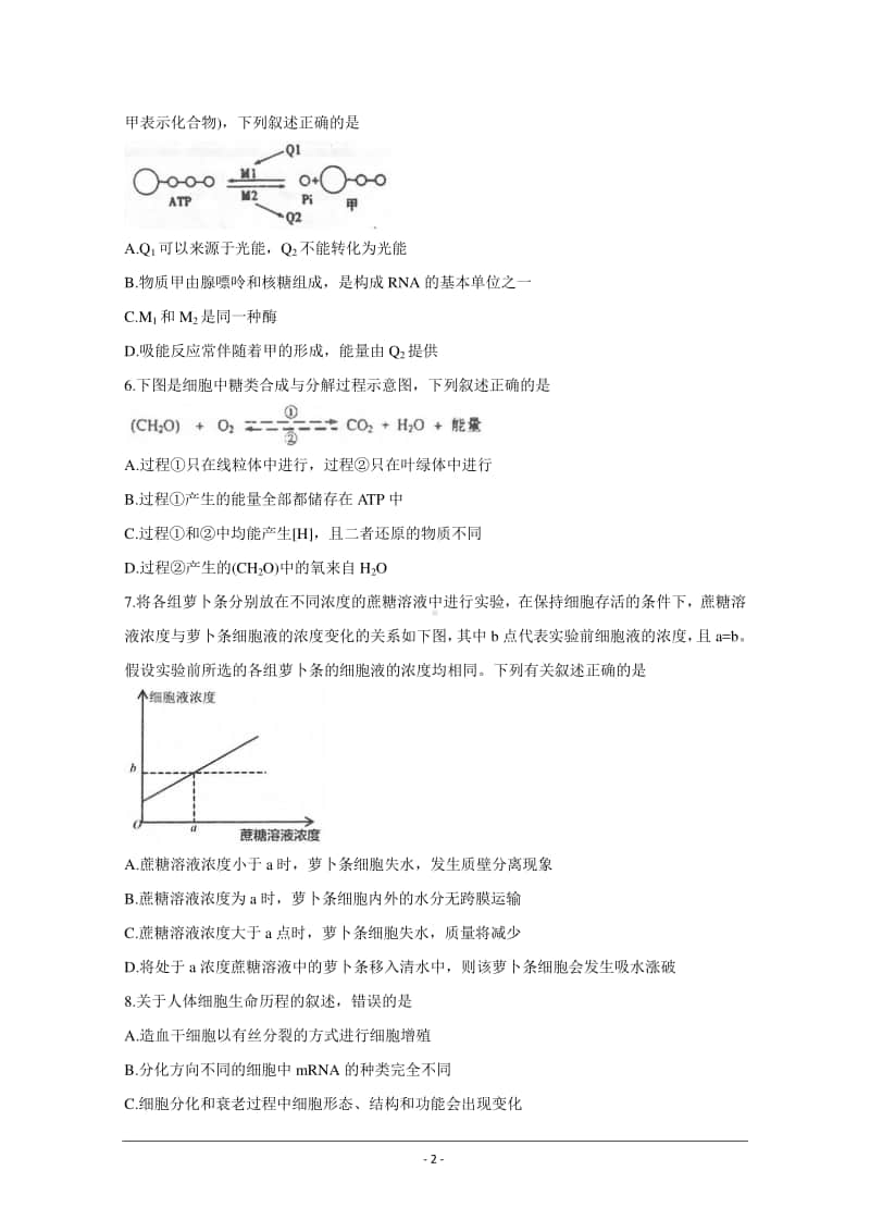 天津市部分区2021届高三上学期期中考试生物试题 Word版含答案.doc_第2页