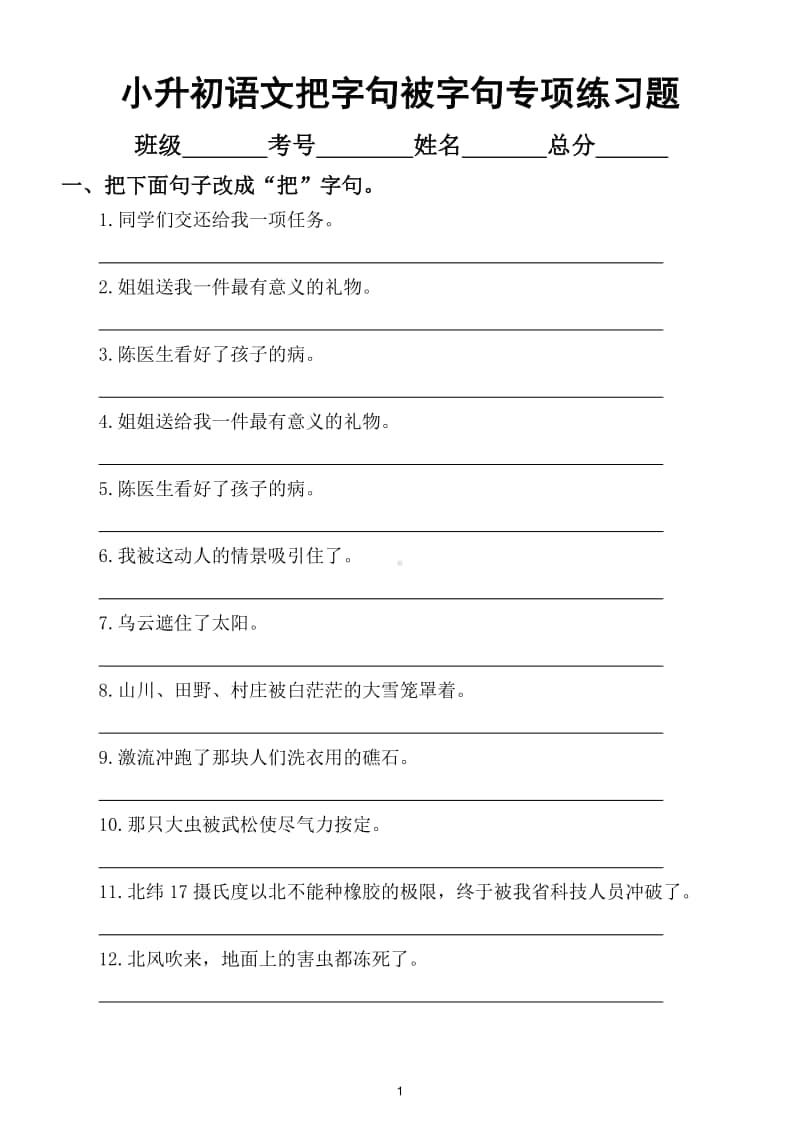 小学语文小升初把字句被字句专项训练试题.doc_第1页