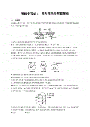 2021年新高考生物二轮复习：策略专项练1　图形图示类解题策略.docx