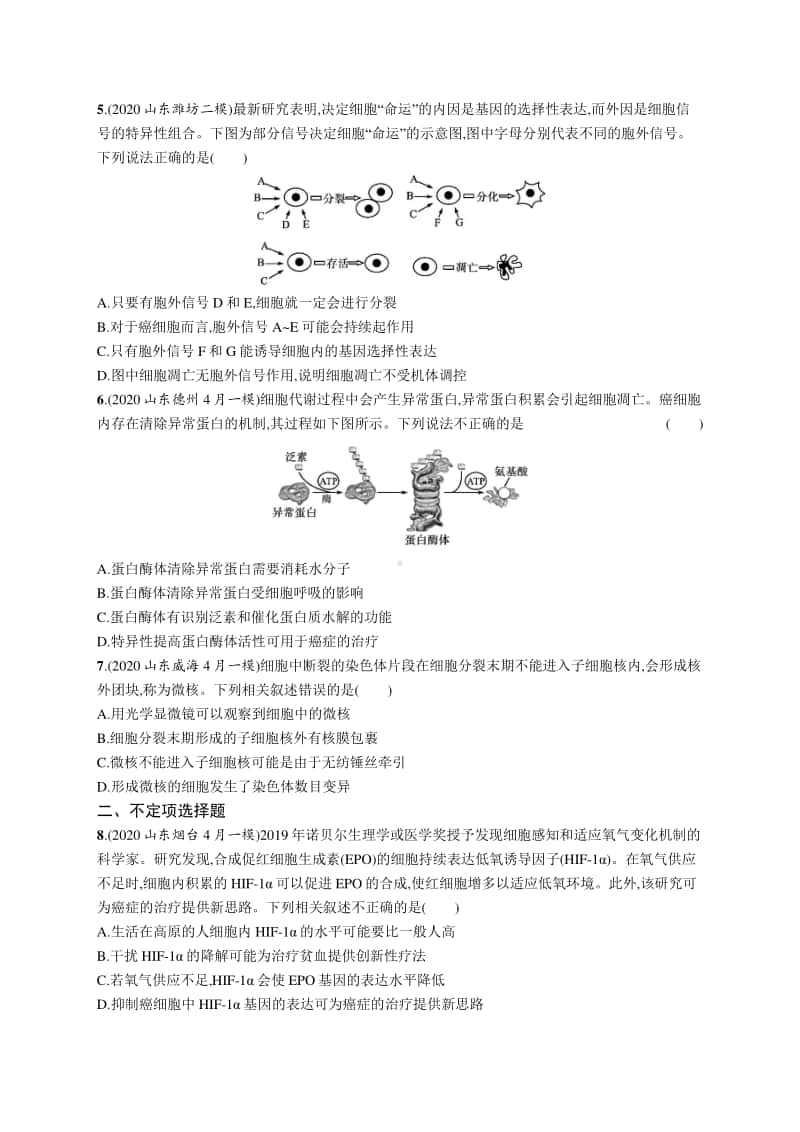 2021年新高考生物二轮复习：专题突破练3　细胞的生命历程.docx_第2页