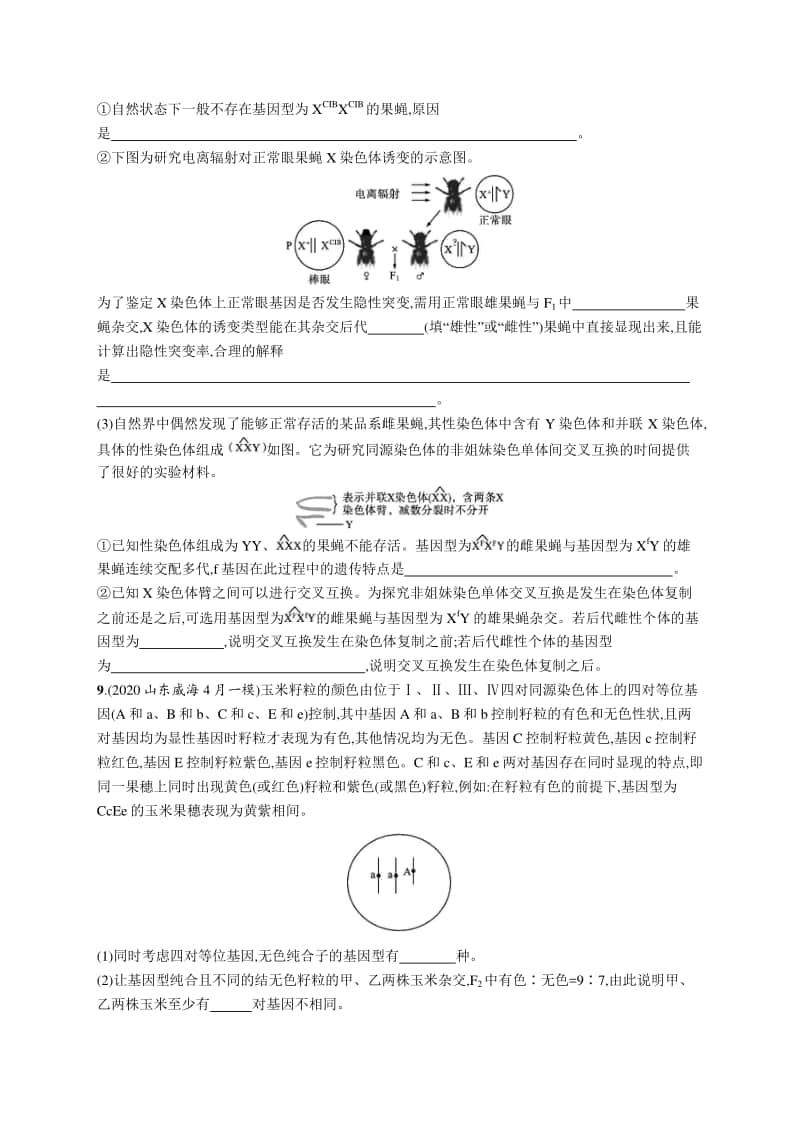 2021年新高考生物二轮复习：专题突破练11　变异和进化.docx_第3页