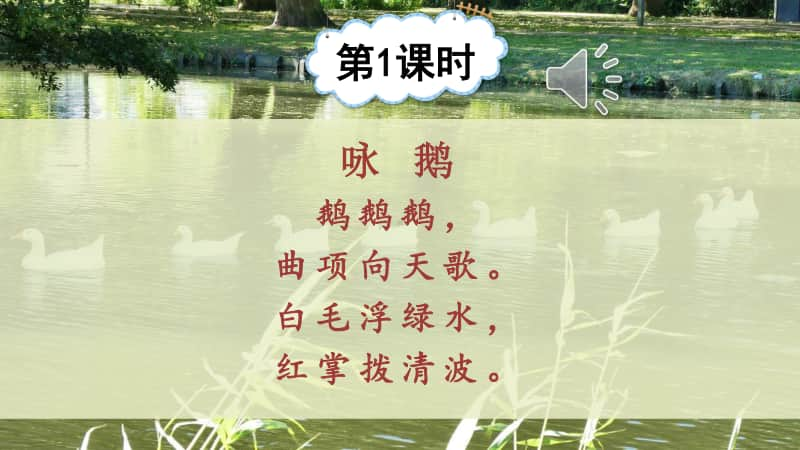 精）统编版四年级下册语文15白鹅ppt课件（含教案+音频+视频）.ppt_第2页