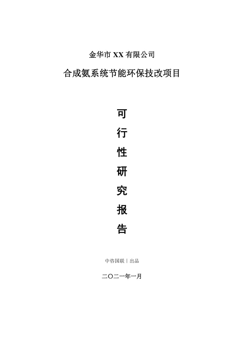 合成氨系统节能环保技改项目可行性研究报告.doc_第1页