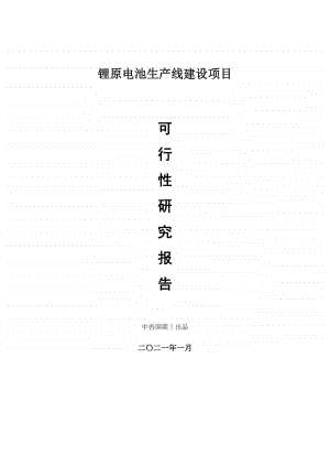 锂原电池生产建设项目可行性研究报告.doc