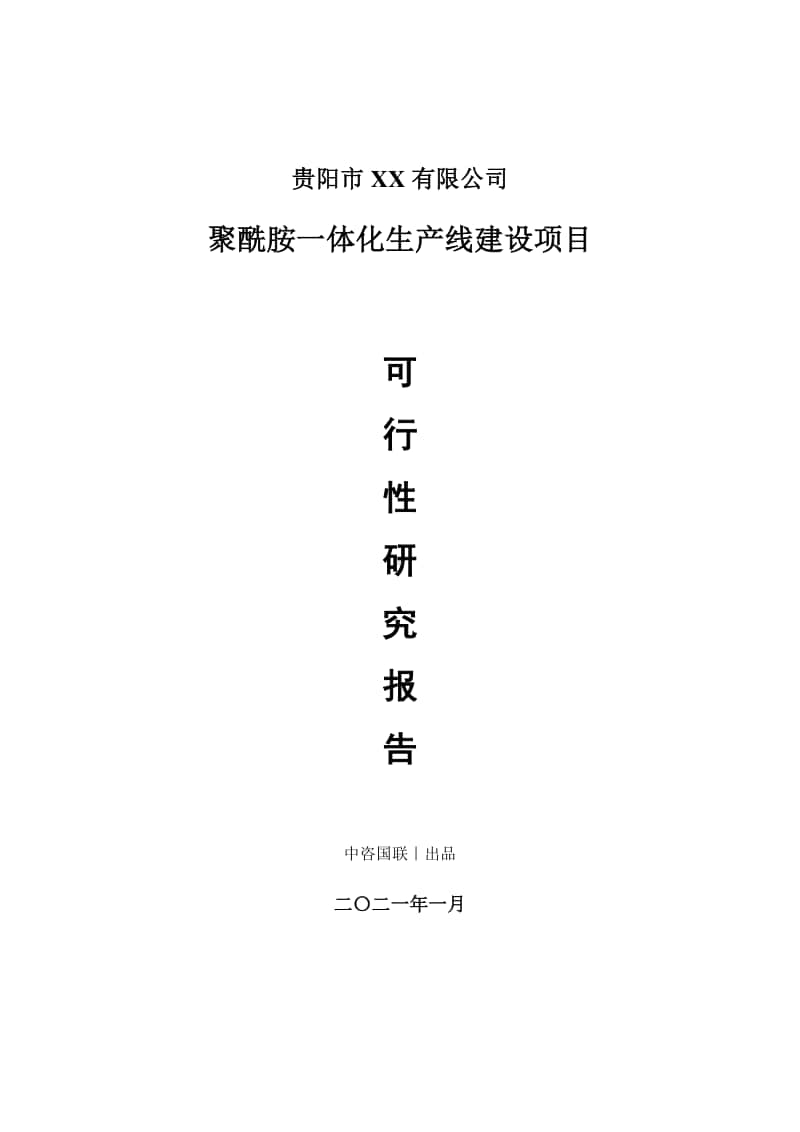 聚酰胺一体化生产建设项目可行性研究报告.doc_第1页