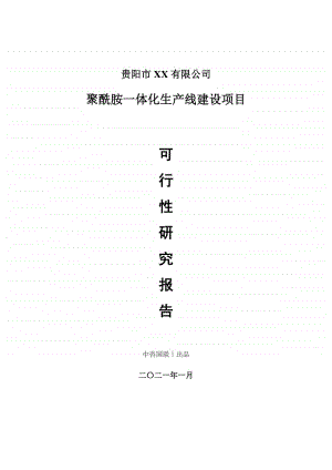 聚酰胺一体化生产建设项目可行性研究报告.doc