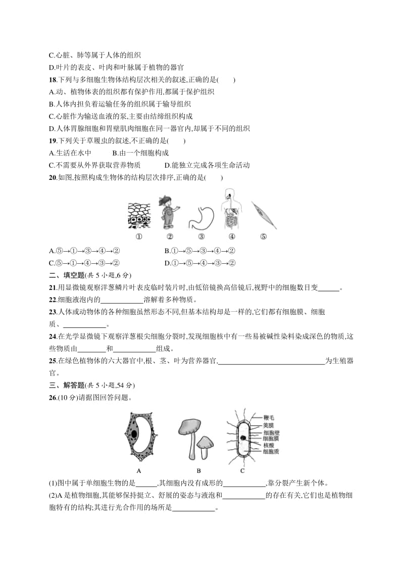 2021年甘肃生物会考复习：专题测试(二)　生物体的结构层次.docx_第3页