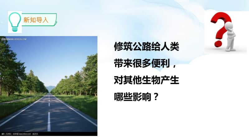 2020新冀教版三年级下册科学13.筑路影响生物生存ppt课件（含视频）.pptx_第3页