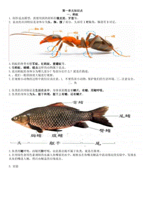 新青岛版科学四年级上册知识点.docx