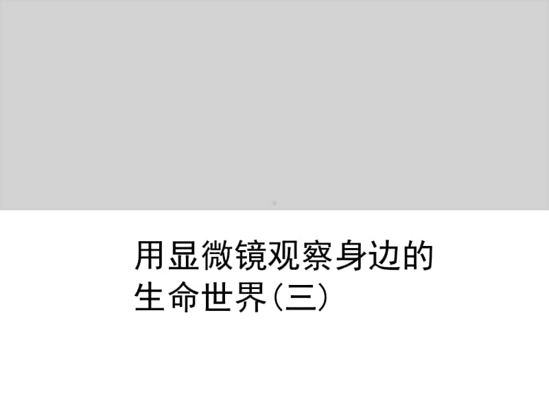 小学科学教科版六年级下册第一单元第七课《用显微镜观察身边的生命世界（三）》教学课件（2021新版）.ppt_第1页