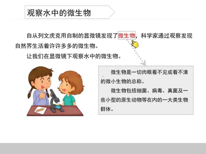 小学科学教科版六年级下册第一单元第七课《用显微镜观察身边的生命世界（三）》教学课件（2021新版）.ppt_第3页