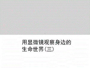 小学科学教科版六年级下册第一单元第七课《用显微镜观察身边的生命世界（三）》教学课件（2021新版）.ppt