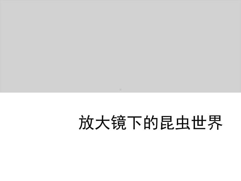 小学科学教科版六年级下册第一单元第二课《放大镜下的昆虫世界》教学课件（2021新版）.ppt_第1页