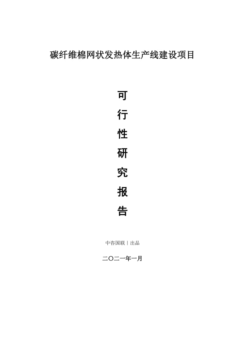 碳纤维棉网状发热体生产建设项目可行性研究报告.doc_第1页