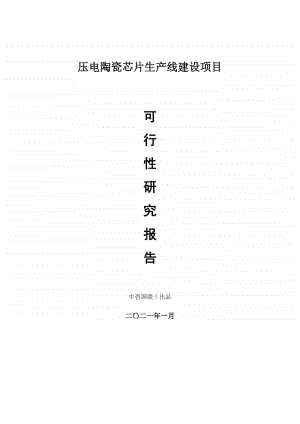 压电陶瓷芯片生产建设项目可行性研究报告.doc