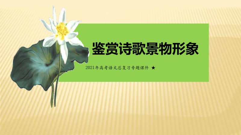 高考语文总复习专题课件 ：景物形象赏析 课件30张.pptx_第1页