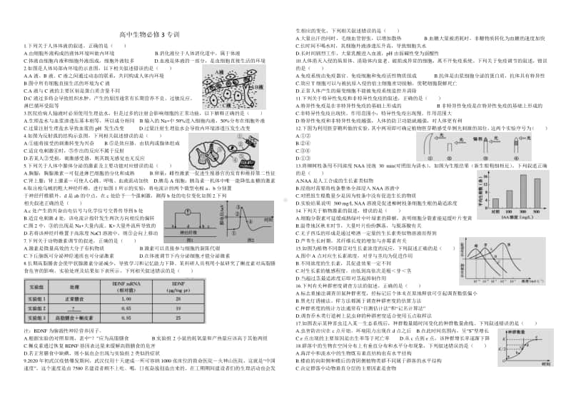 高中生物必修3专训.doc_第1页