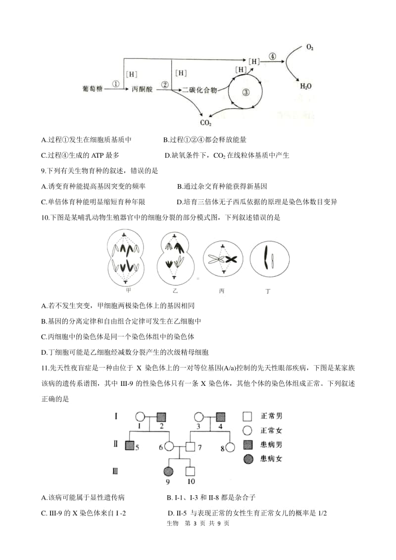 渭南市2021年高三教学质量检测（I）生物.doc_第3页