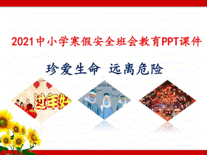 2021中小学寒假安全班会教育PPT课件《珍爱生命 远离危险 》.pptx