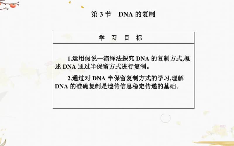 生物人教必修2第3章第3节 DNA的复制.ppt_第2页