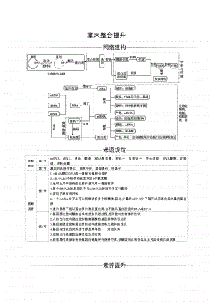 生物人教必修2第4章 基因的表达章末整合提升.docx