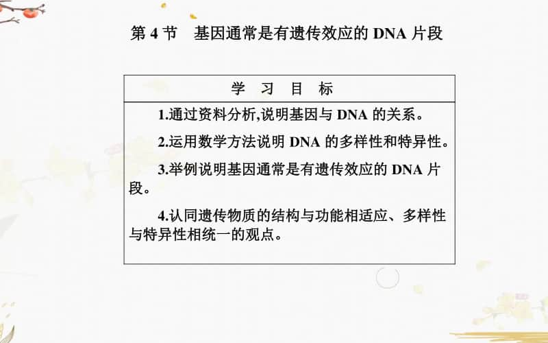 生物人教必修2第3章第4节 基因通常是有遗传效应的DNA片段.ppt_第2页